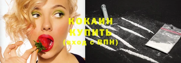 дурь Горняк