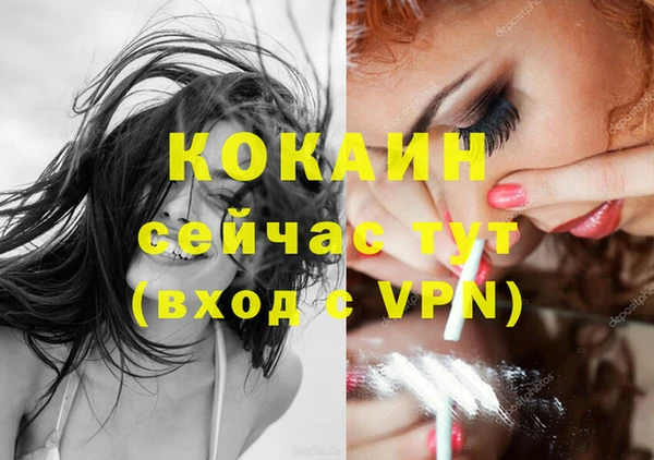 дурь Горняк