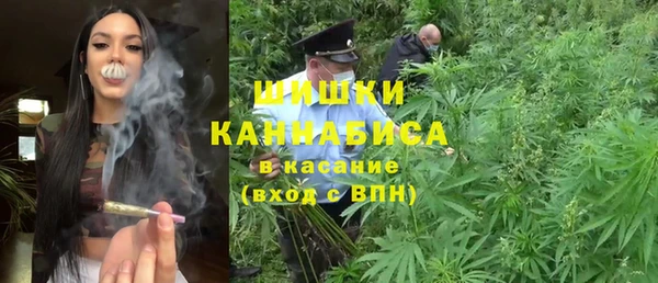 дурь Горняк