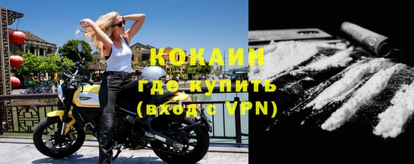 дурь Горняк